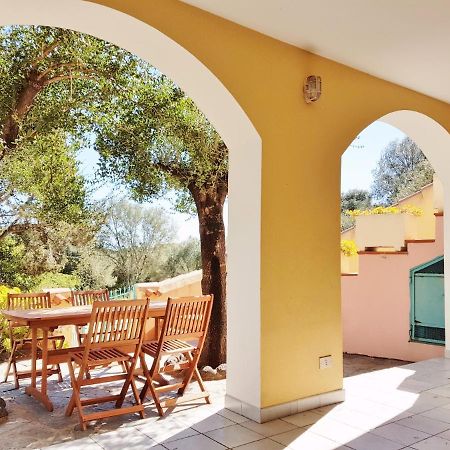 Dommos - Pintada Apartments Cala Liberotto Extérieur photo